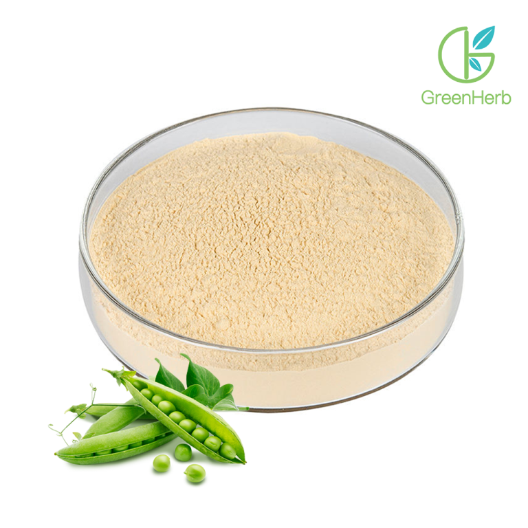 완두 단백질 분말 85%