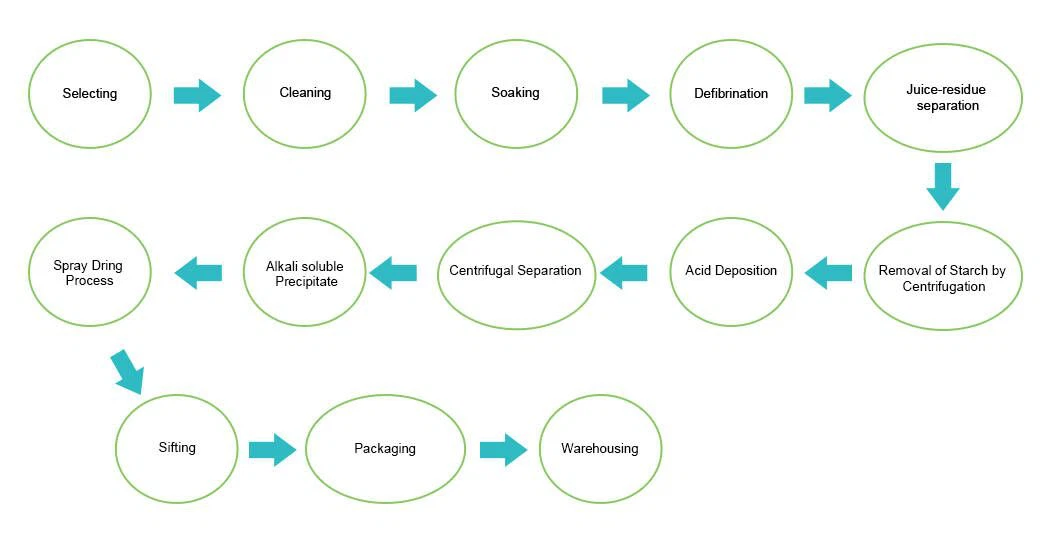 Wet extraction process flowchart for mung bean protein powder production 