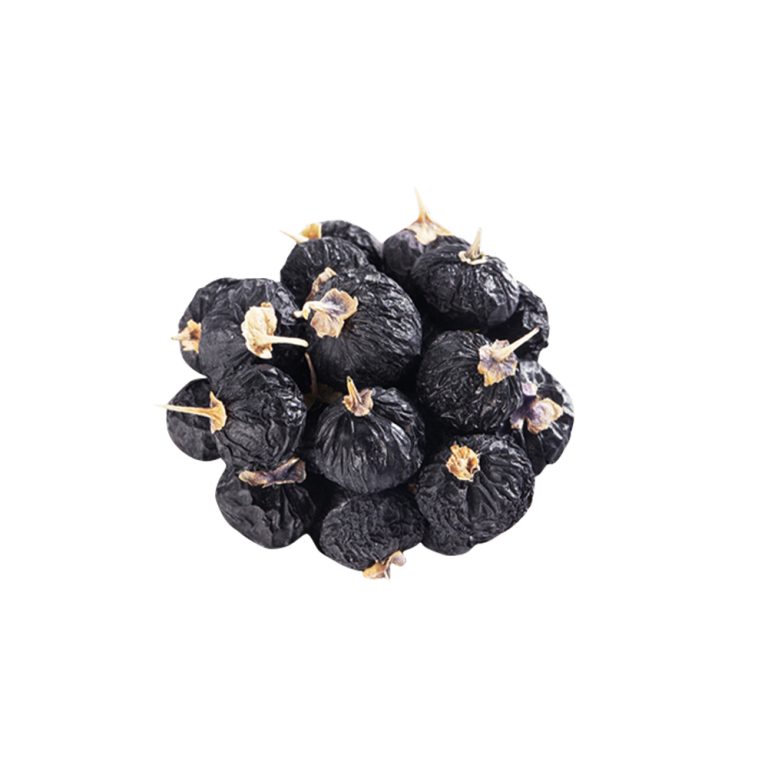 Lycium ruthenicum 신선한 검은 구기 열매의 근접 촬영 사진