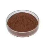 Light brown Cocoa Seed Extract fine powder detail