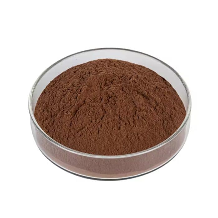 Light brown Cocoa Seed Extract fine powder detail