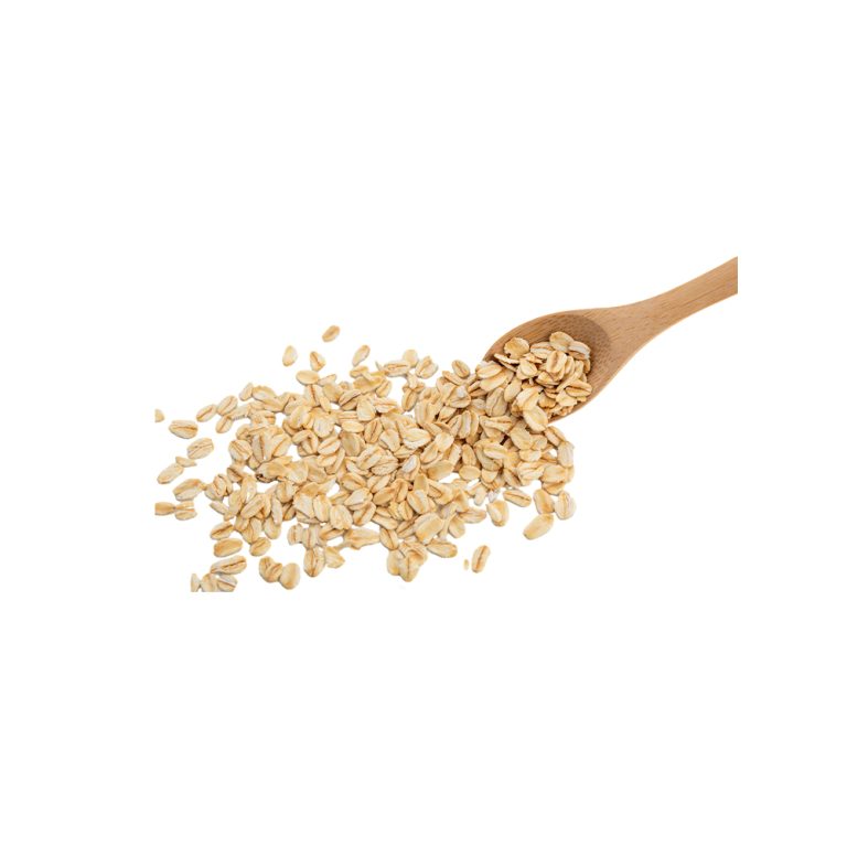 Avena sativa 귀리 알갱이의 접사 사진