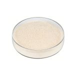 Light beige Rice Protein Powder fine particle detail